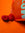 Close up of a limited edition Mozzo coffee blend and raspberries (coffee tasting note for seasonal coffee)