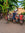 Mozzo founder Grant Lang on Idjwi Island, DRC, walking with a group of Congolese children of various ages and genders
