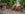 Mozzo founder Grant Lang on Idjwi Island, DRC, walking with a group of Congolese children of various ages and genders