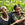 Man  with arm round woman's shoulder from Muungano DRC